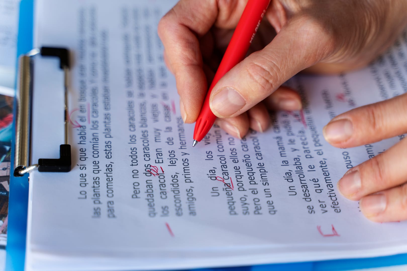 Certified Legal Translation Services in the UAE